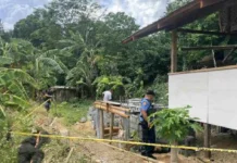 Barangay Tanod Killed in Igbaras; Suspect with Alleged Mental Disorder Arrested
