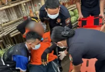 Driver sang tricycle, pilason matapos madalasa sang pick up nga may karga nga isda sa syudad sang Passi
