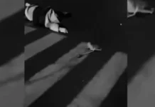 Nagabusong nga nurse, patay sang nabungguan sang salakyan sang duha ka beses; lapsag, naggwa gid sa iya tiyan bangud sa impact