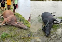 Pila ka mga sapat, nagkalamatay man bangud sa baha sa Madalag, Aklan