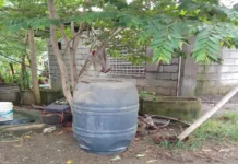 Pamilya, wala na sang plano nga magpasaka sang kaso vs iloy nga nagsulod sang iya bata sa drum
