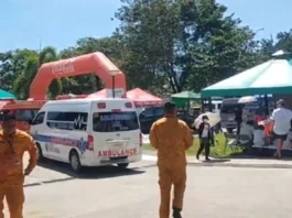 Iloilo Provincial Health Office, ginaabisohan ang publiko nga magpabilin nga safe kag healthy kadungan sa pag-obserbar sang pista minatay