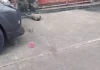 Kaso nga double murder kag frustrated murder, igapasaka batok sa suspek sa pagpangluthang sa Barangay Sto. Rosario-duran, City Proper