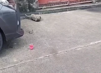 Kaso nga double murder kag frustrated murder, igapasaka batok sa suspek sa pagpangluthang sa Barangay Sto. Rosario-duran, City Proper
