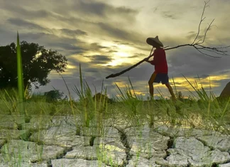 DOST Western Visayas, padayon ang pagmonitor sang weather condition agud makapreparar sang nagakaigo nga mga advisories