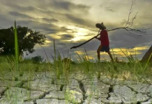 OCD-6, nagapanawagan sa publiko nga mangin handa sa posible nga kakulangan sang suplay sang tubig kag pagkaon bangud sa Very Strong El Niño