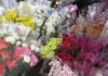 Pista Minatay: Flower vendor sa Jaro Plaza, nagpanugyan nga magtemprano pa sa pagbakal agud indi maubusan sang suplay