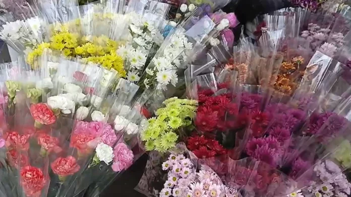 FLOWERS