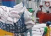 DA: Presyo sang abono kag imported rice, posible magsaka bangud sang pagluya sang Peso vs Dollar