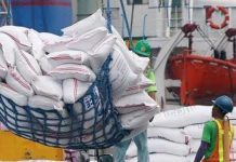 DA: Presyo sang abono kag imported rice, posible magsaka bangud sang pagluya sang Peso vs Dollar