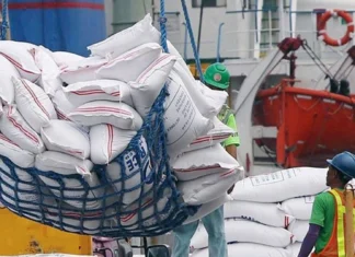 DA: Presyo sang abono kag imported rice, posible magsaka bangud sang pagluya sang Peso vs Dollar