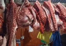 Konsumidor nga nagabakal sang karne nga halin sa backyard slaughter, posible man nga mapanabat kasunod sa ginaduso nga ordinansa sang Iloilo City Government batok sa ilegal nga pag-ihaw sang kasapatan