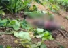 69-anyos nga lalaki, ginpatay bangud sa away sa Rambutan