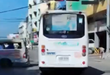 LTFRB, maga-isyu sang Show Cause Order batok sa operator nga nagpadayon sa pag-drive apisar pula na ang traffic light sa Delgado Street