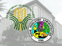 BM Rolando Distura, dismayado sa Sugar Regulatory Administration matapos nga makapila ka beses nga wala nagatambong sa mga committee hearing sang Sangguniang Panlalawigan