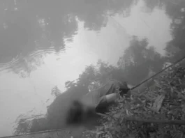Bangkay nga nasapwan sa Barangay Sohoton Barotac Nuevo, igapaidalom sa autopsy