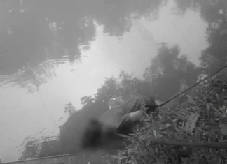 Bangkay nga nasapwan sa Barangay Sohoton Barotac Nuevo, igapaidalom sa autopsy