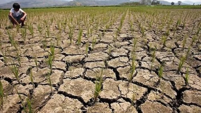 el_nino-1