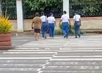 ICTTMO, ginarekomendar ang pagpanas sang pedestrian lane sa atubang sang ICPO sa General Luna Street, City Proper