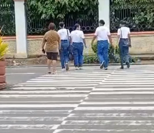 ICTTMO, ginarekomendar ang pagpanas sang pedestrian lane sa atubang sang ICPO sa General Luna Street, City Proper