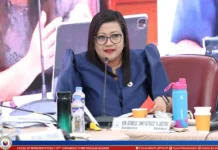 Rep. Luistro, usisaon ang reported P1.3-B budget insertion para sa iya nga distrito sa 2027 national budget