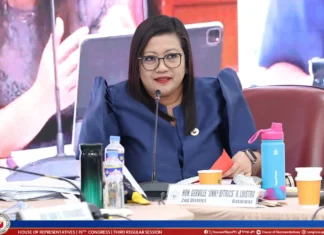 Rep. Luistro, usisaon ang reported P1.3-B budget insertion para sa iya nga distrito sa 2027 national budget