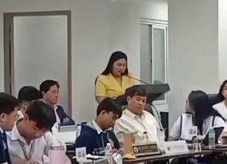 Councilor Mabilog, gintawag nga “political move” ang pag-adoptar sang konseho sa DILG Legal Opinion No. 95, series of 2025