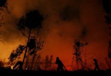 Asu halin sa forest fire sa Indonesia, umabot eon sa Pilipinas