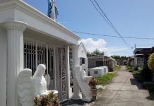 Fiesta Minatay ginahimo nga family reunion man it ibang pamilya