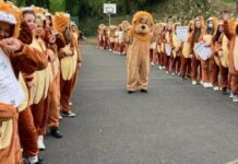 Masobra sa 250 nga katawo sa Ireland, nagsuksok it ‘Lion costume’ para sa Guinness World Record