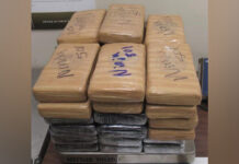 Masobra $700-K nga haega it cocaine nakumpiska sa border it US ag Mexico