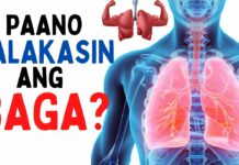 Pabaskugon ag limpyuhan ro baga