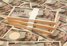 Eaeaki sa Japan, gumastos it 2-M yen para matuman ro handum nga maging ayam!