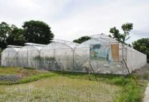 Aklan Agri-Aqua Demonstration Farm and Training Center, nagatau it libreng training