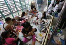 Pagtaas it kaso it dengue sa nasyon, ginakabaeak-an it mga eksperto