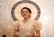 Expanded Solo Parents Welfare Act, madinaeag-on nga hapasa para sa mga solo parents sa Pilipinas – Sen. Hontiveros