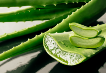 Aloe vera kilaea bilang sangka powerful wonders 