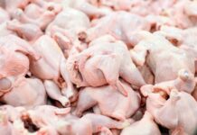 Presyo it manok sa merkado, nakaangkon eon it pagnaba