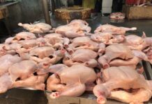 Presyo it manok sa public market, nagtaas eon man