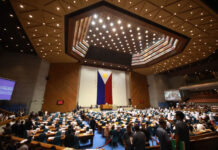 Government employee, dapat matuod nga public servant