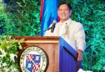 Pagtao it special economic powers kay Pangueong Ferdinand Marcos Jr, ginadihon it sangka mamalidha