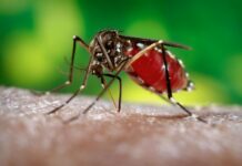 Dengue cases sa Pilipinas, tumaas it 90% makarong dag-on – DOH