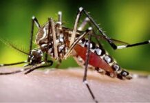 Fogging ag misting operation it LGU Kalibo nagapadayon kontra sa dengue