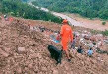 Rescuers padayon ro ginapatigayon nga pag-usoy sa mga natabunan it landslide sa India
