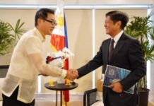 Japan government, magatao it emergency relief aid sa mga biktima it linog sa Northern Luzon