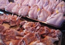 Manipis nga suplay it manok sa nasyon, epekto it pagtaas it demand sa pagbukas it ekonomiya suno sa DA-BAI; presyo it itlog posibleng lomobo sa P15 kada sambilog