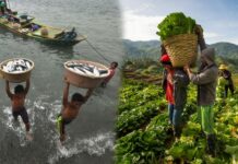 Kakueangan it suplay it pilang produkto tuga it madasig nga inflation – NEDA