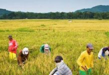 Food production ag healthcare system sa nasyon, dapat tutukan it administrasyon ni Pangueong Marcos Jr.