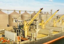 Unang grain shipment umpisa nga nag-eontad ro Russian invasion, nakaguwa eon maghalin sa Ukraine