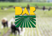 EO sa moratorium it loan payment it agrarian reform beneficiaries, pagapirmahan ni PBBM sa anang kaadlawan